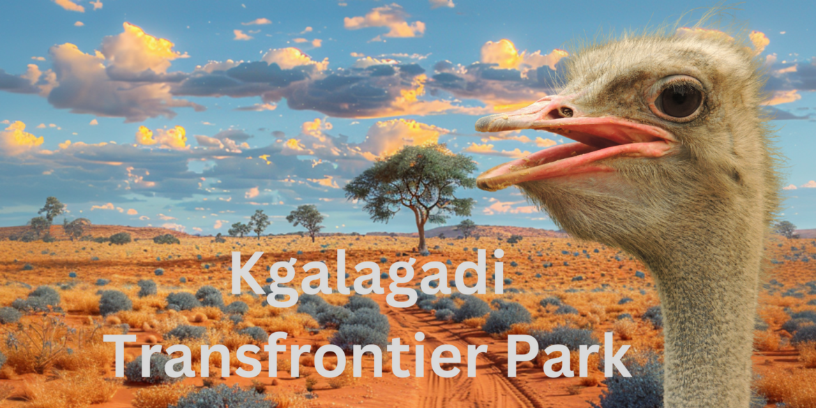 Kgalagadi Transfronteir Park CANVA DESIGN 3